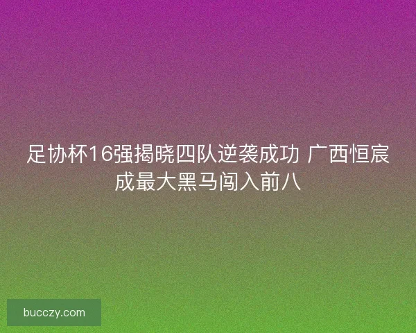 足协杯16强揭晓四队逆袭成功 广西恒宸成最大黑马闯入前八