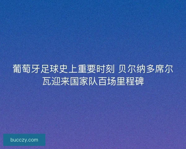 葡萄牙足球史上重要时刻 贝尔纳多席尔瓦迎来国家队百场里程碑